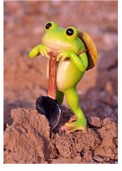 Cute Frog Decoration Micro-Landscape Garden Decoration