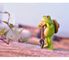 Cute Frog Decoration Micro-Landscape Garden Decoration