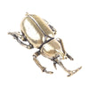 HORNED BEETLE   Brass Ornament