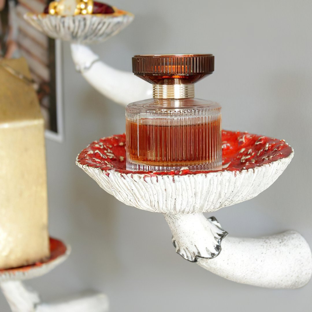 Mushroom Wall Rack Creative Shelf Decorations