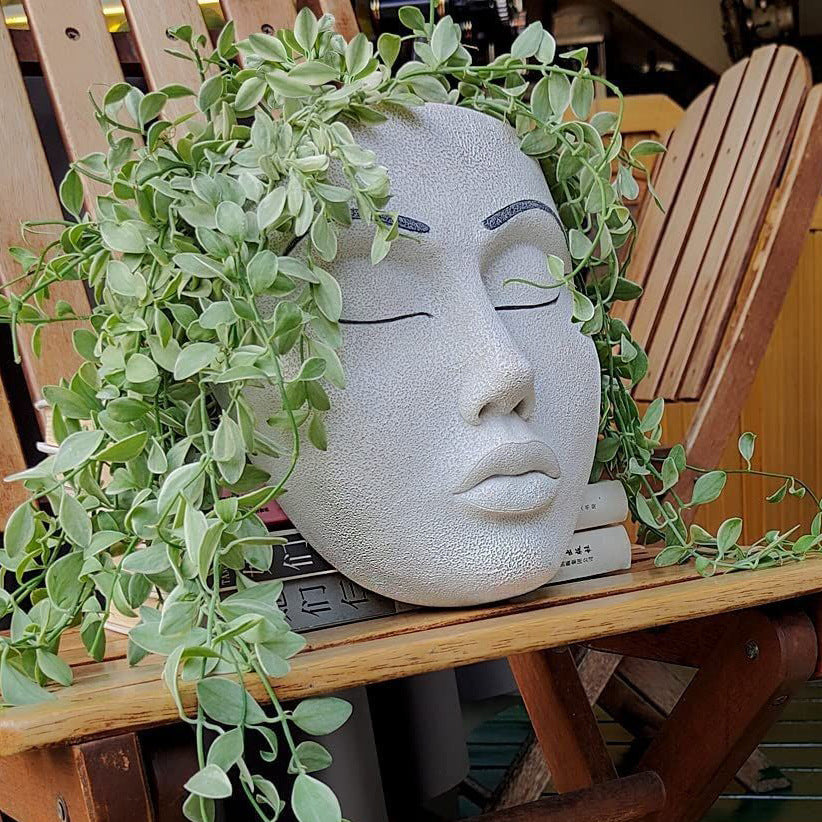 SERENITY Wall Hanging Planter