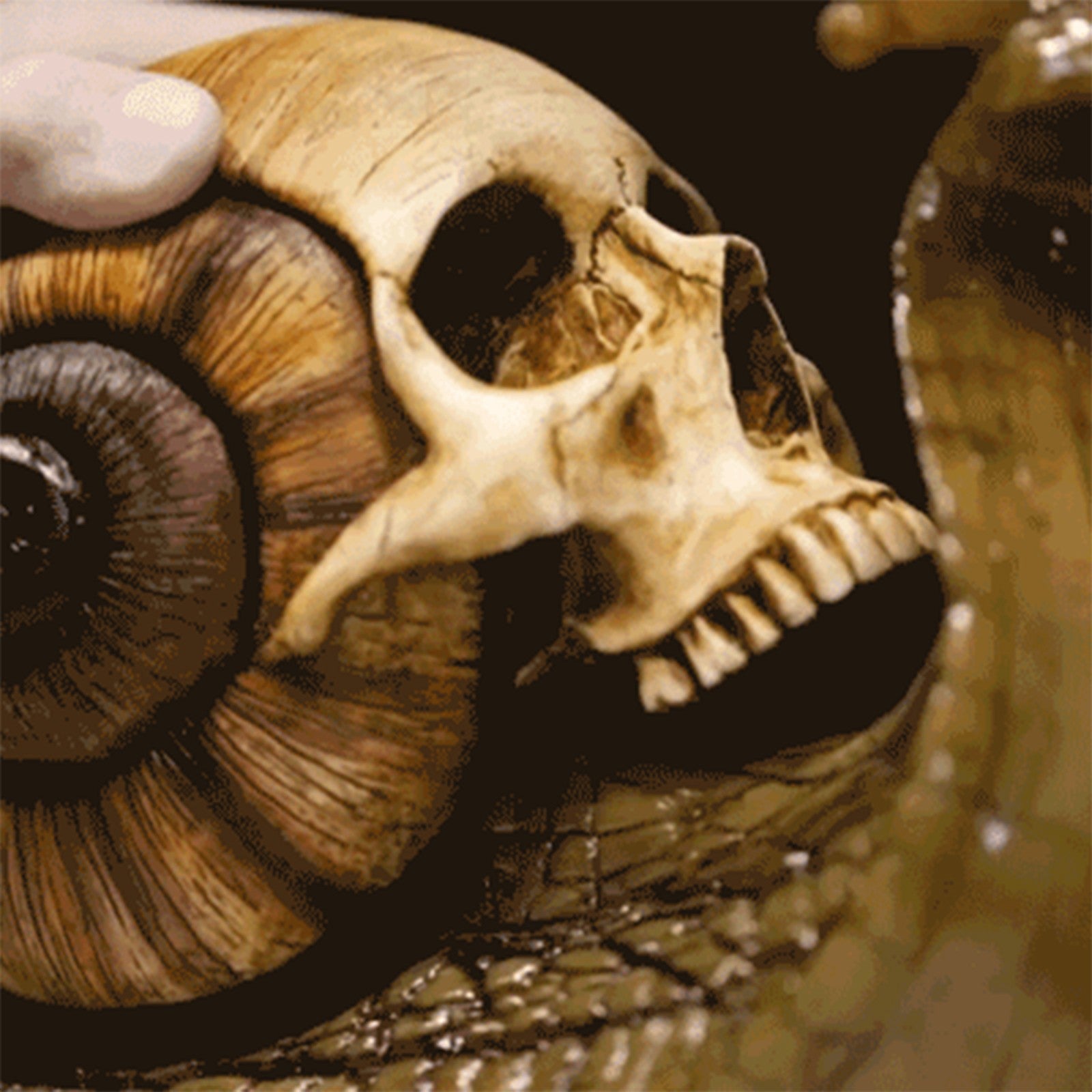 SNUGLUS Snail & Skull  Spooky Garden Figurine